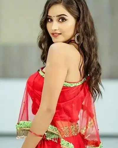 Call Girls Service Etapalli